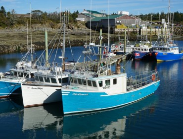 Fishing boats in North Head on Grand Manan Island.