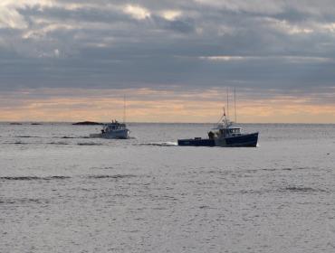 Boats returning from offshore