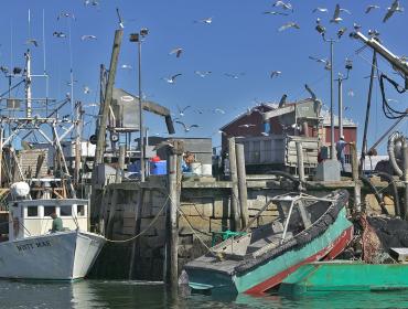 fishing boat on rocks.