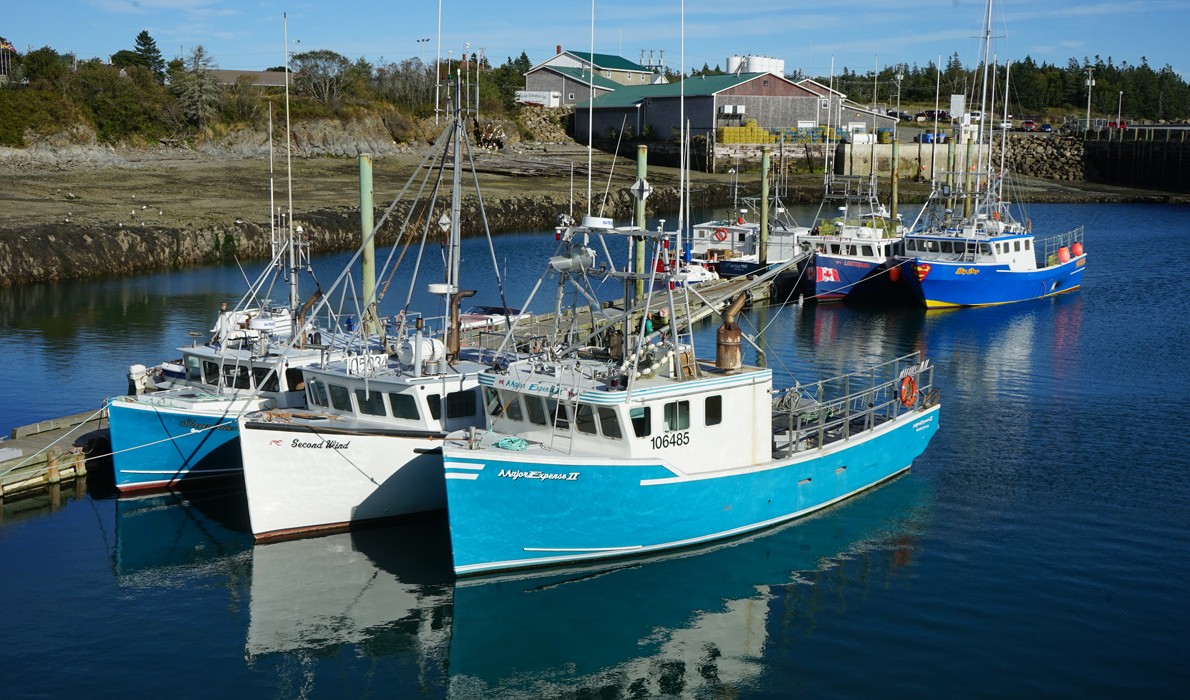 Fishing boats in North Head on Grand Manan Island.
