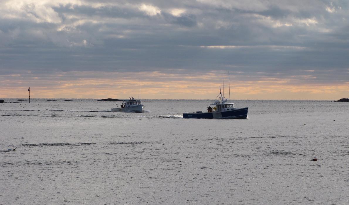 Boats returning from offshore